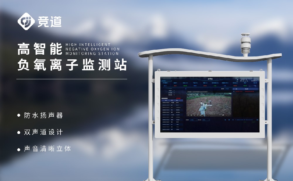 大气负离子监测系统