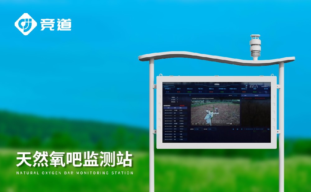 负氧离子监测系统